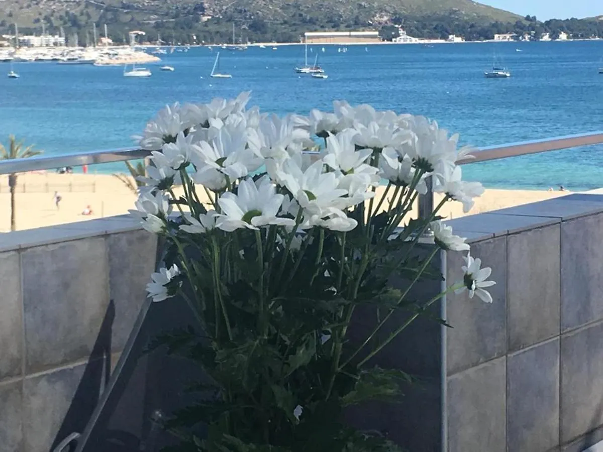 Seaside Oasis: Beachfront 2BR Apartment with Jacuzzi Terrace Port de Pollenca